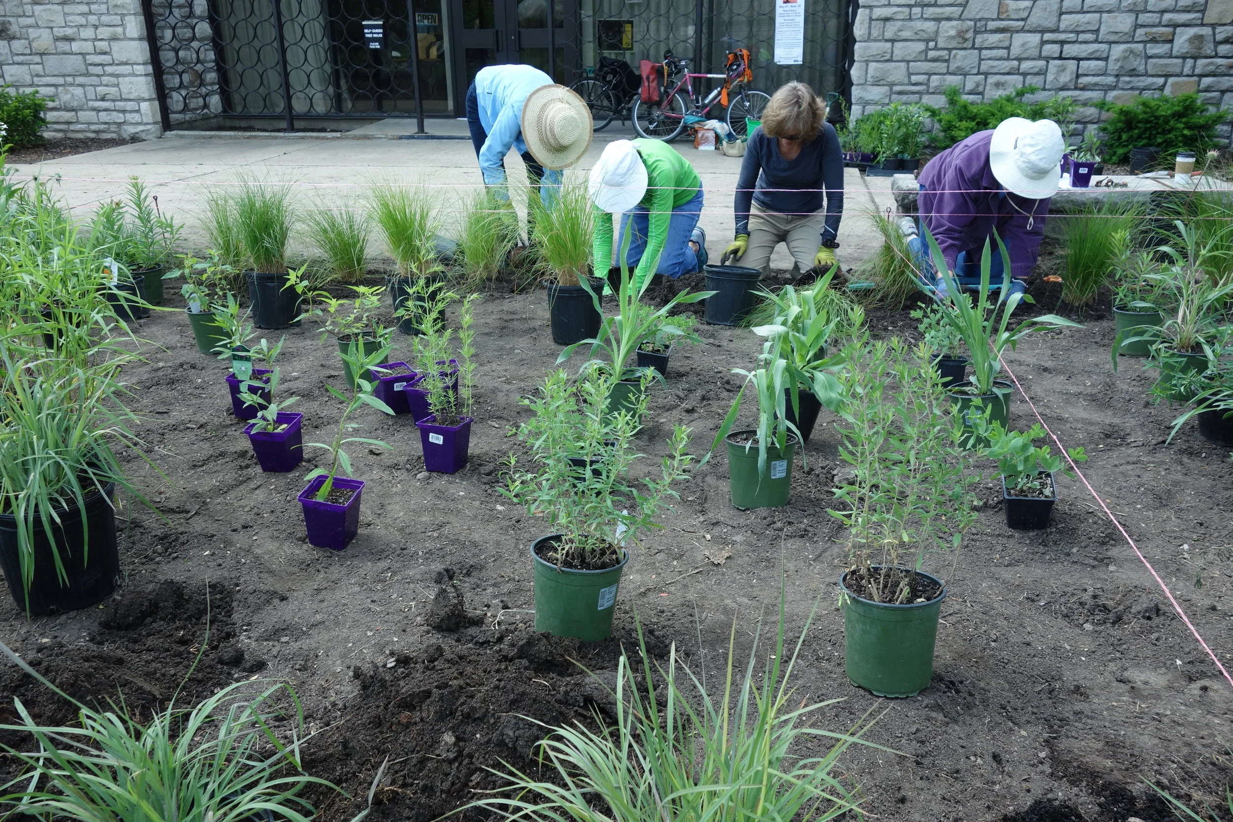 Planting Monarch Gardens to Help Save the Migration