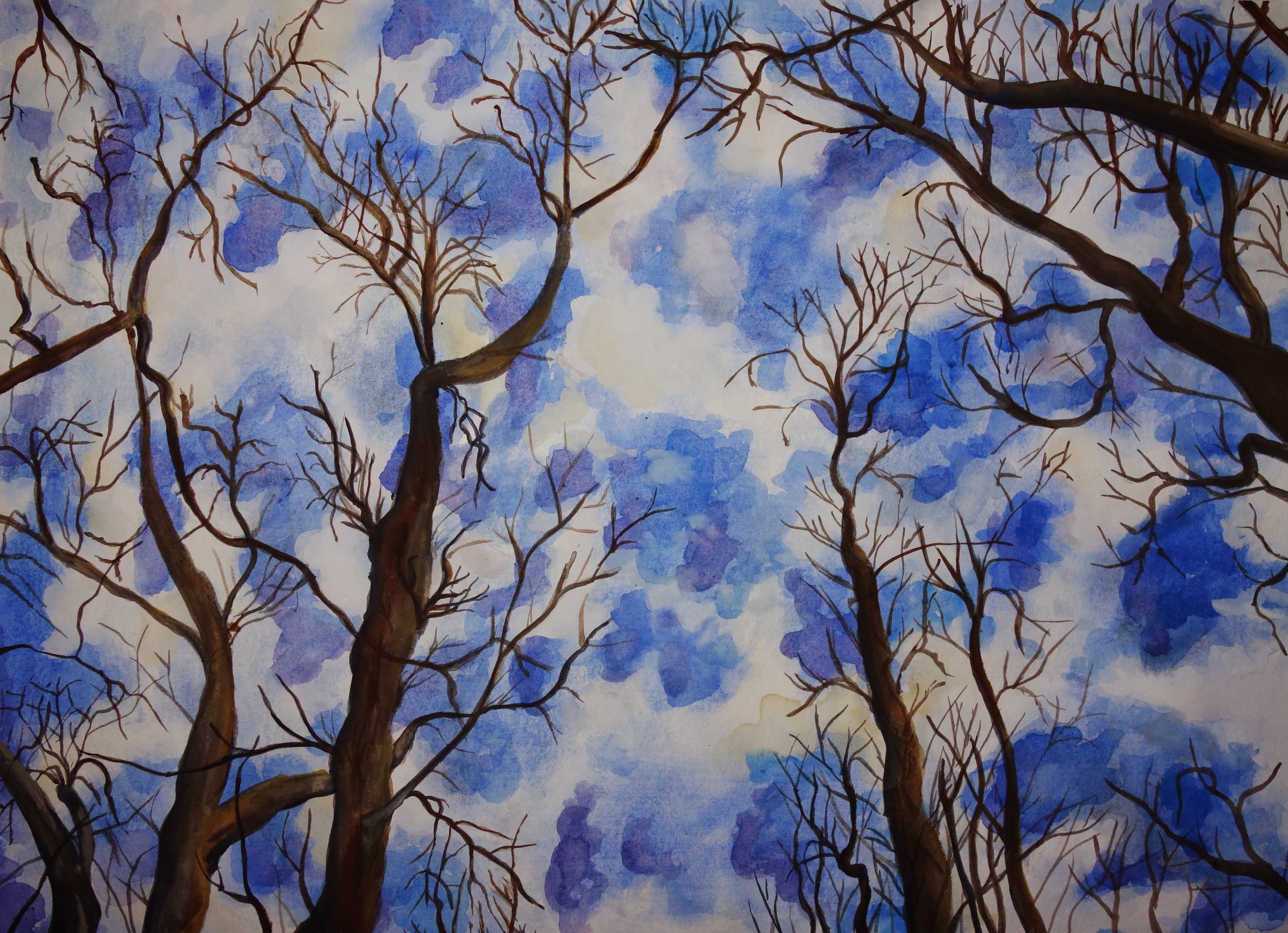watercolor naked trees(1).jpg