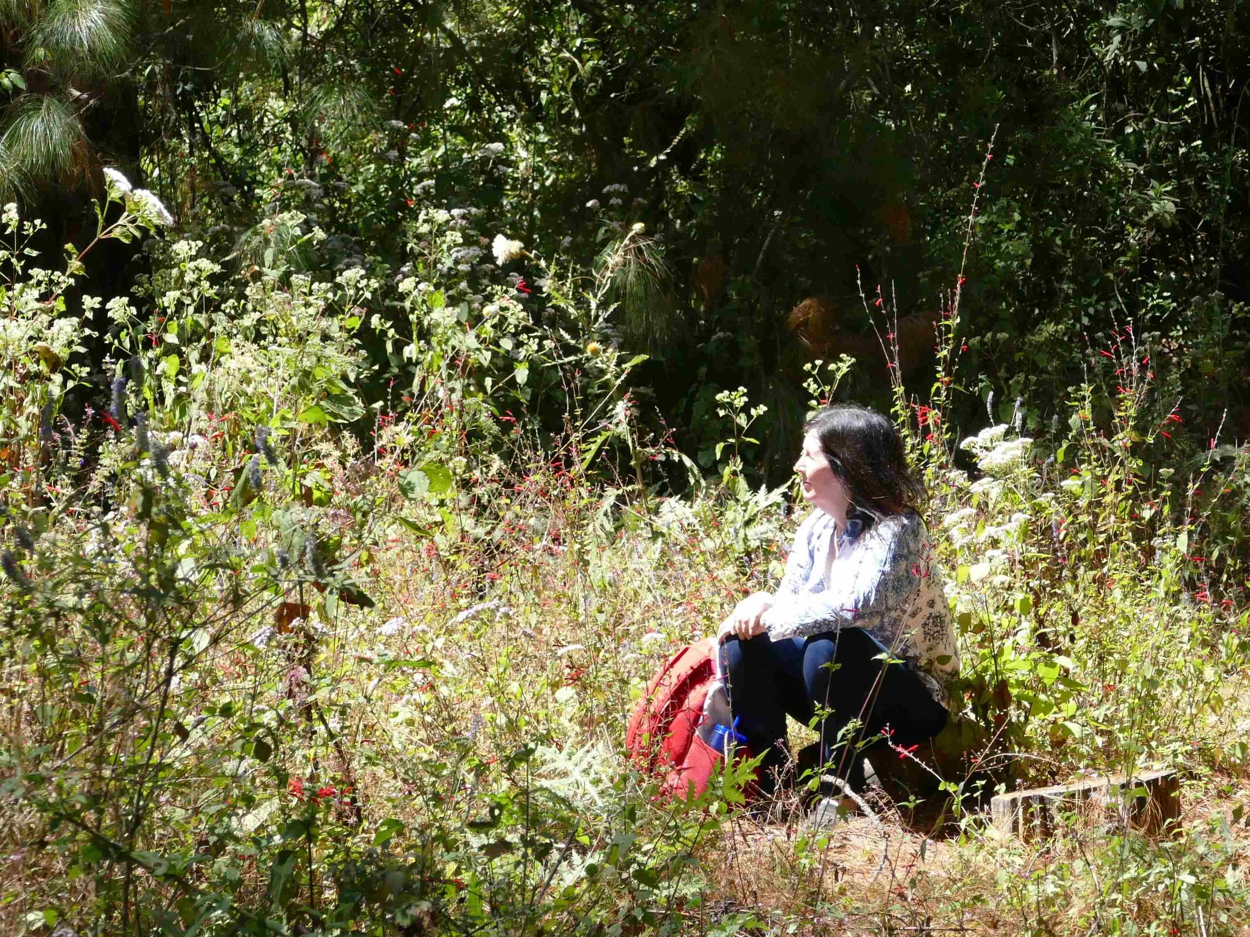 Barb was at home in her meadow in Mexico. A reminder that the monarchs connect all of us living in Mexico, Canada, and the United States.