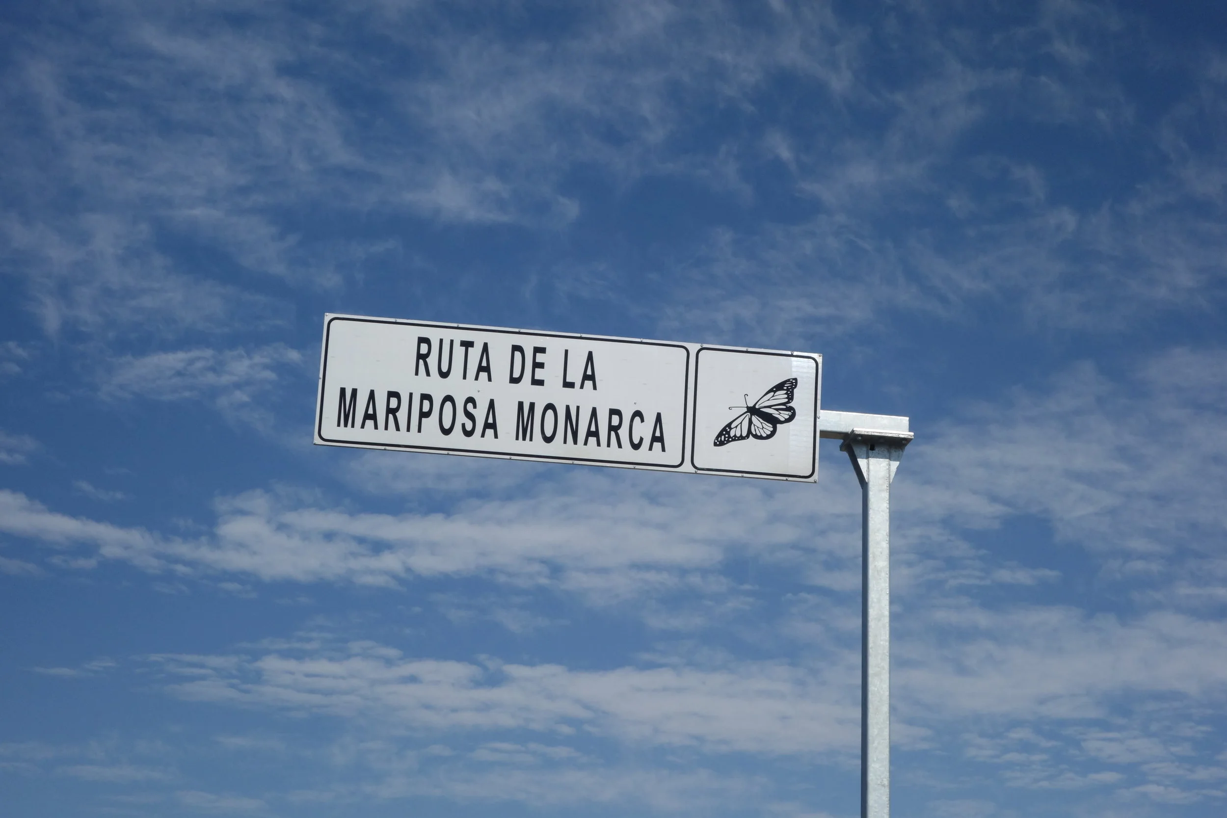 A sign telling drivers that we are on the route of the monarch butterfly. Not sure how reliable this is, but it was nice to see!