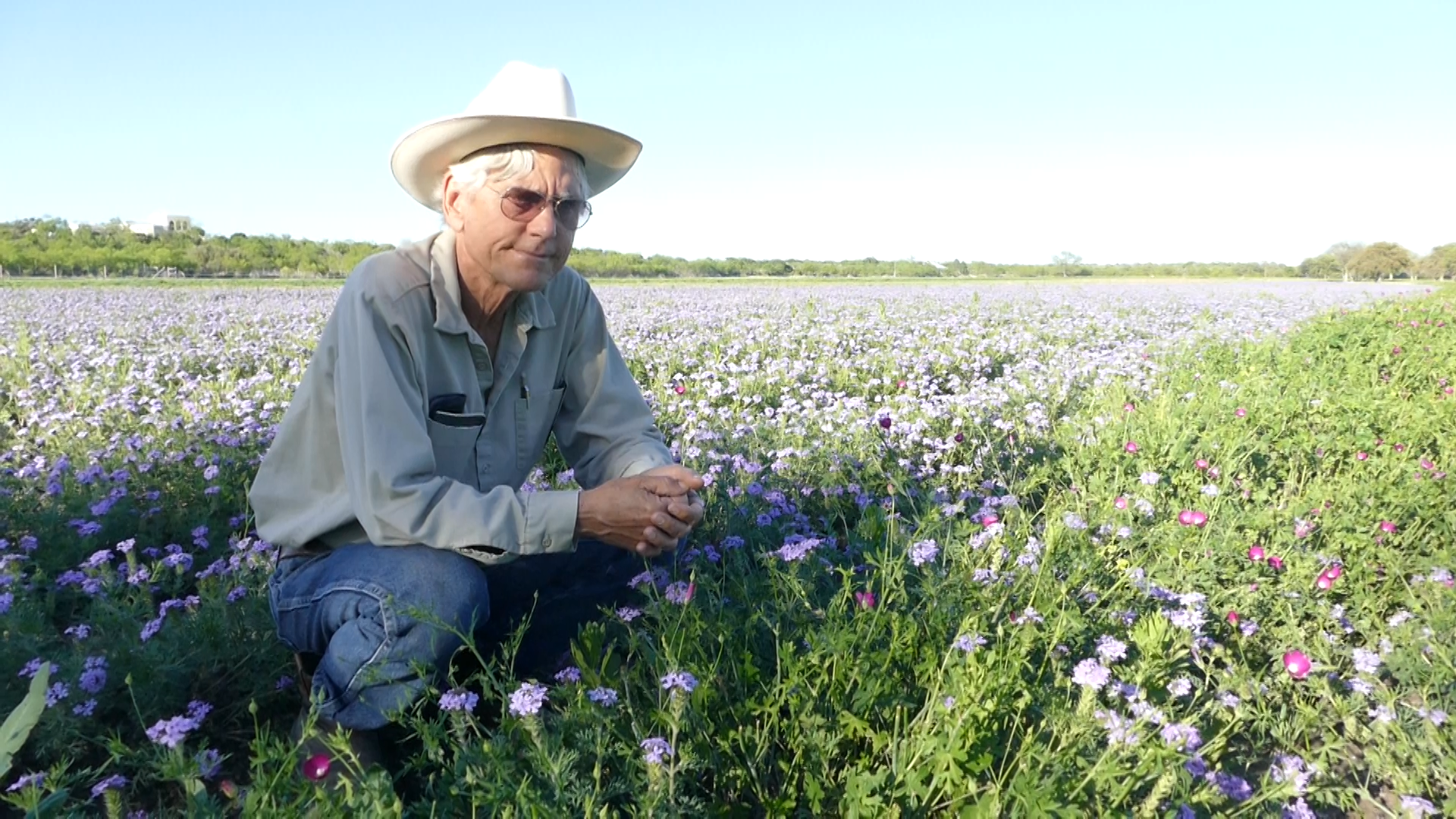 Bill among the native plants he grows as part of Native American Seed Company.