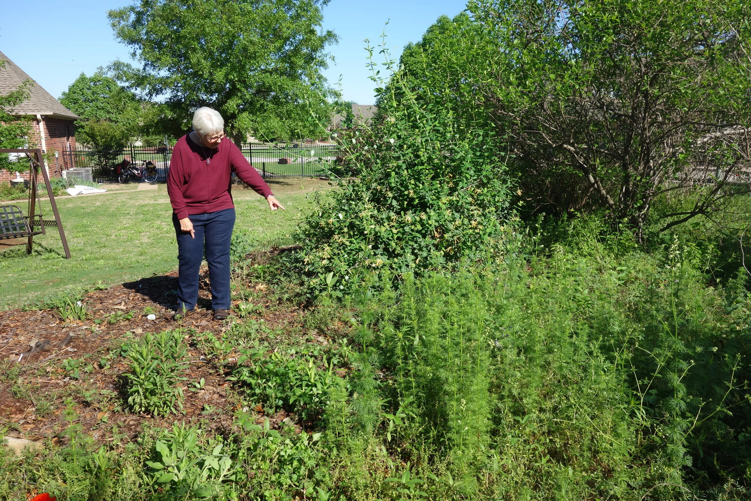 Sandy's garden has already hosted 300 eggs this year and is very inspiring!