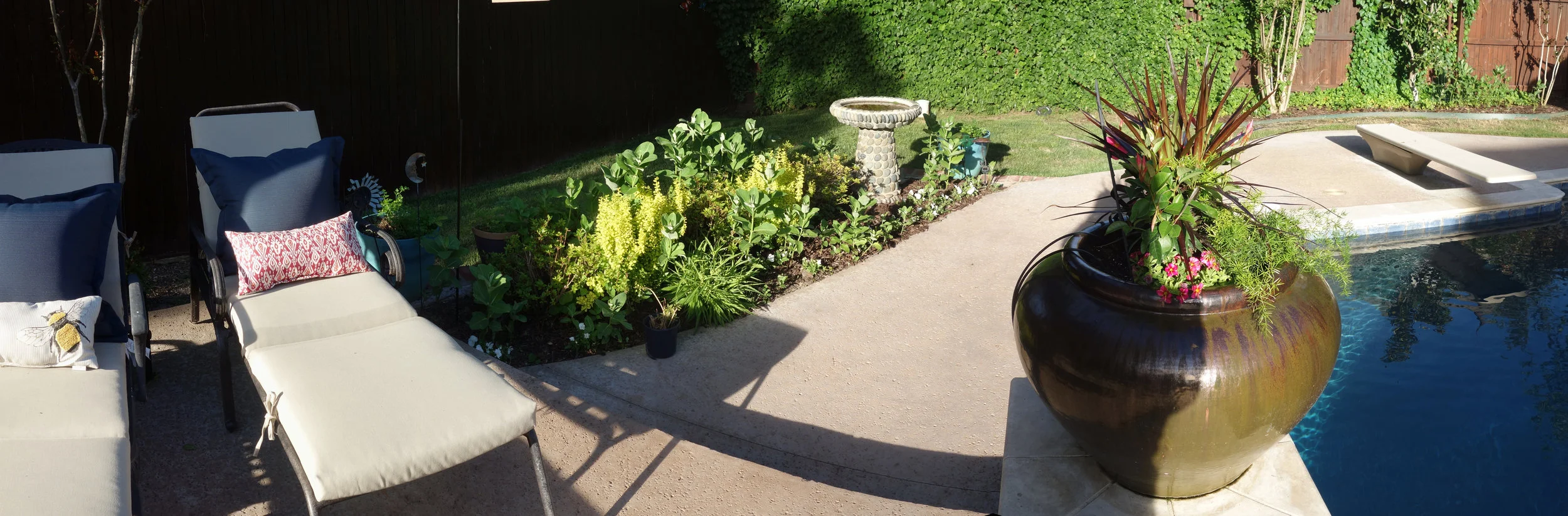 Amy's garden is also a great example of how every yard can be a home to monarchs.