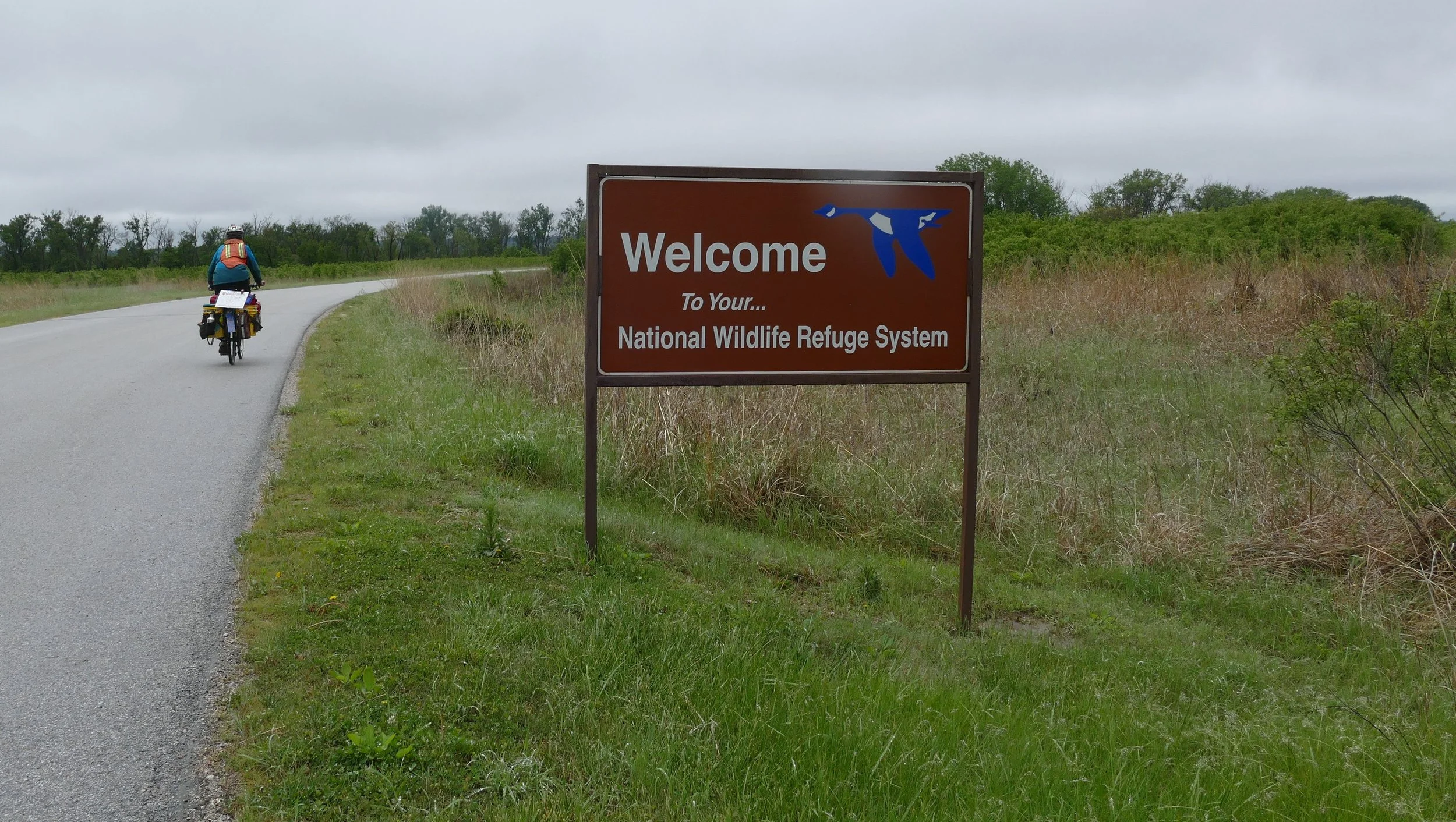 Go visit your local national wildlife refuge and enjoy knowing that these pockets of protection are where wild still lives.