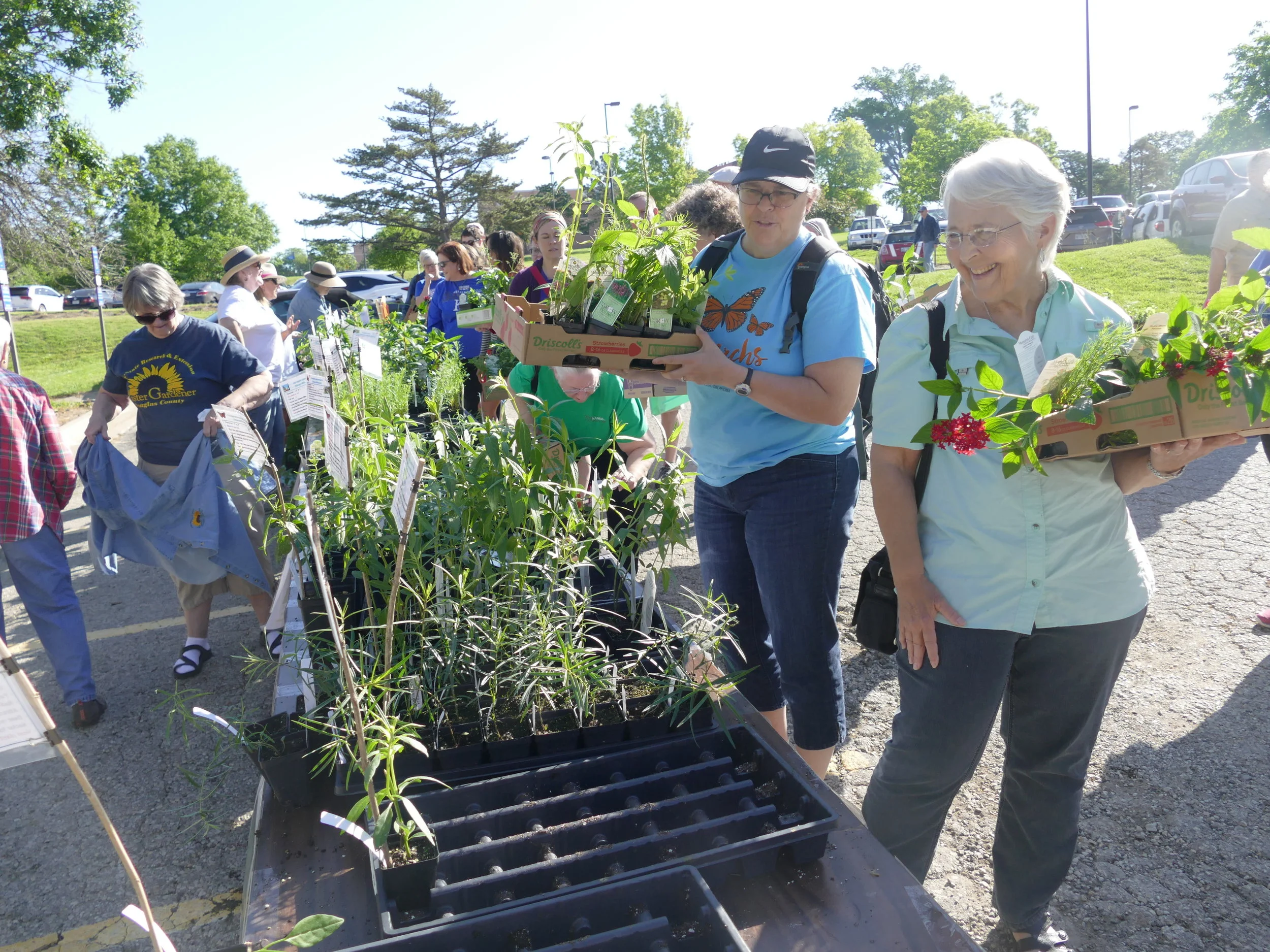 Monarch Watch sold milkweed to the monarch team: people sharing their yards, speaking for the monarchs, and motivating each other. It was inspiring.