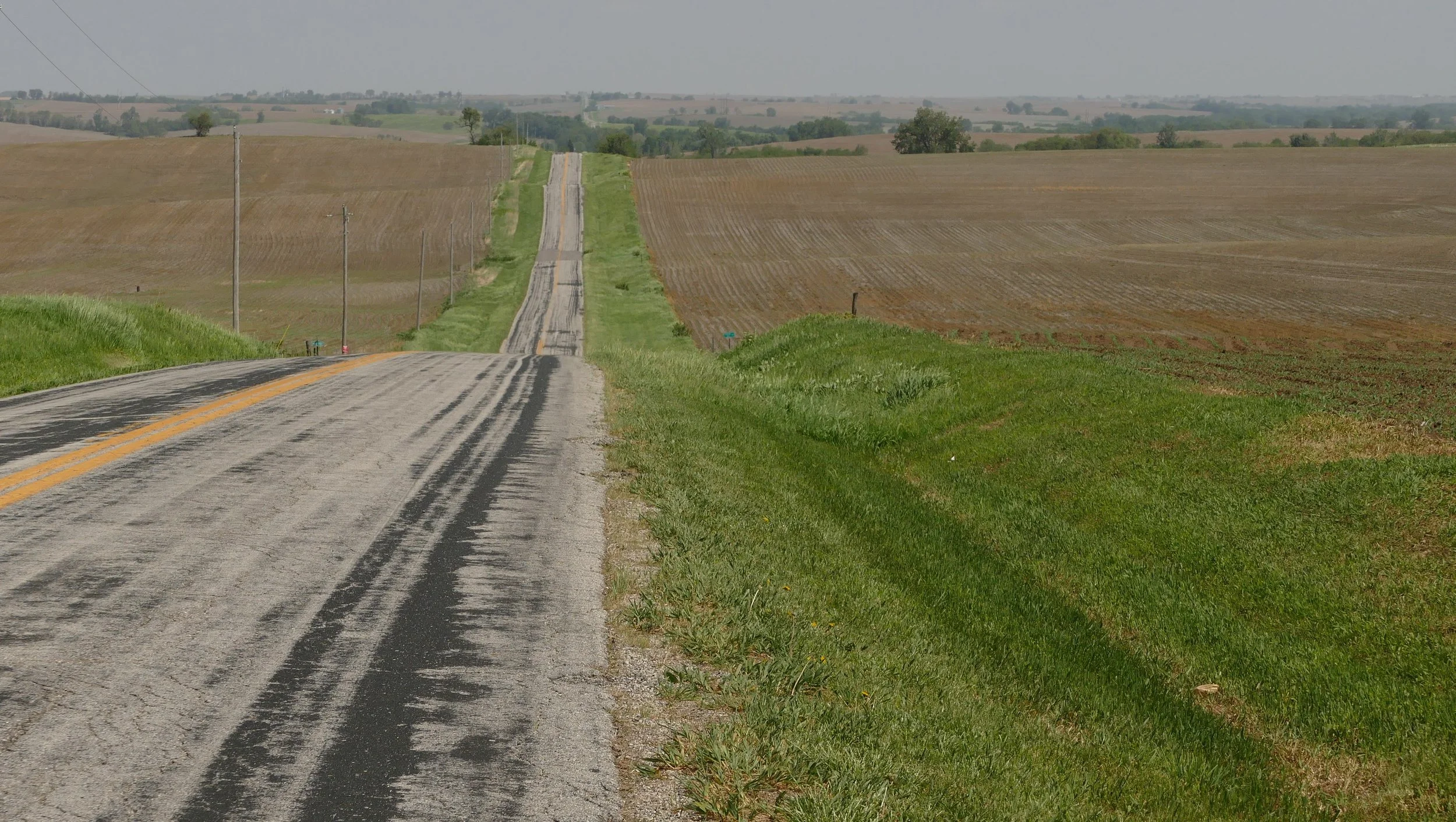 This all used to be prairie, but now it is not. Seeing this made me get sad and then mad.