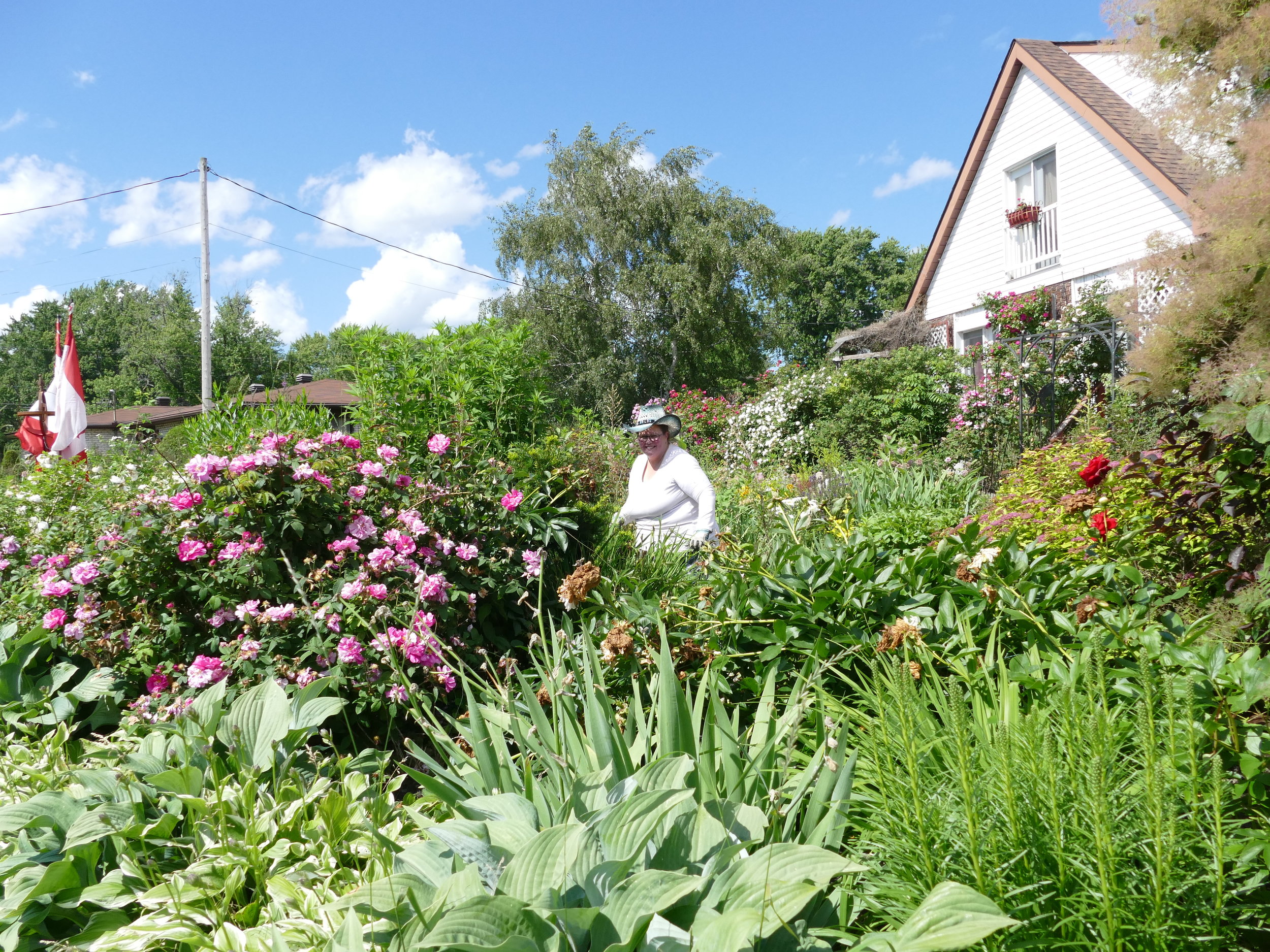 Candy and Peter work in their incredible garden which is like a beautiful welcome mat for guests staying at their bed and breakfast.