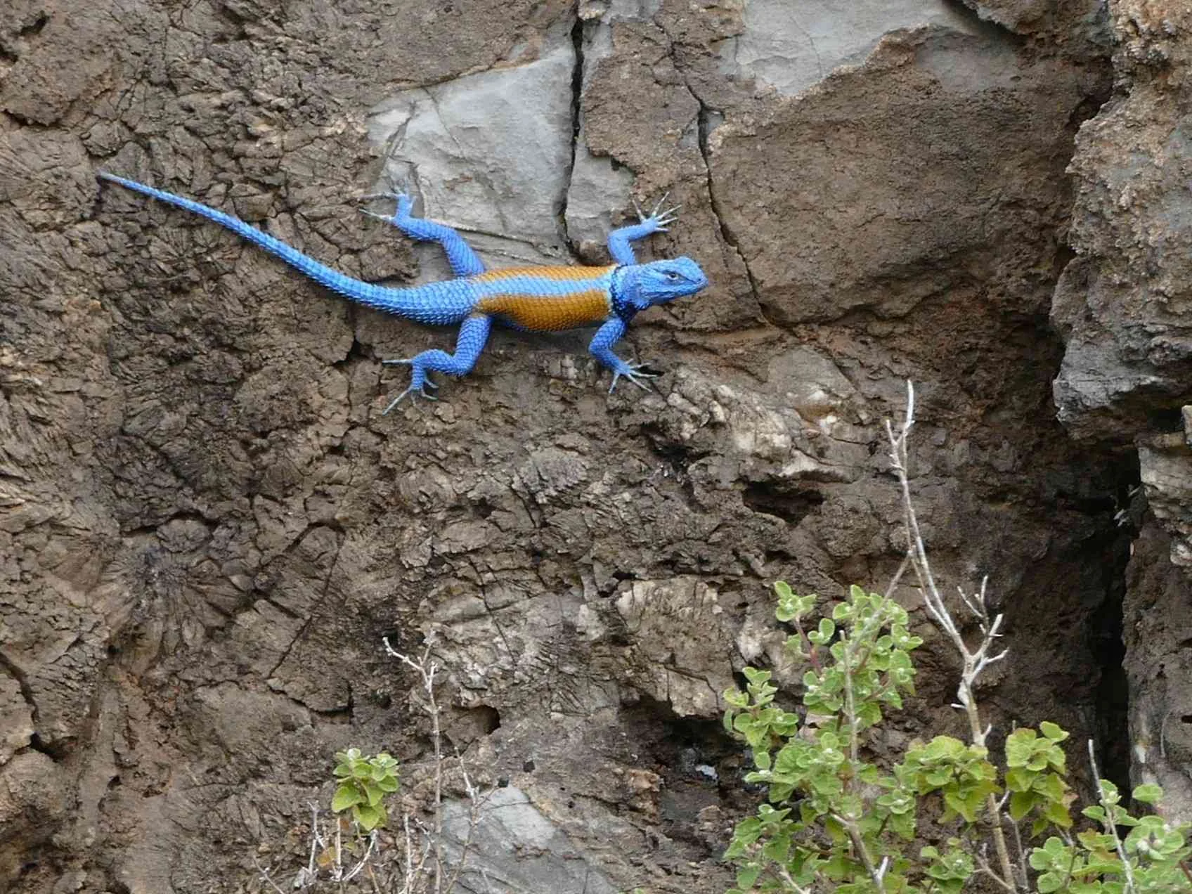 Now that is blue.