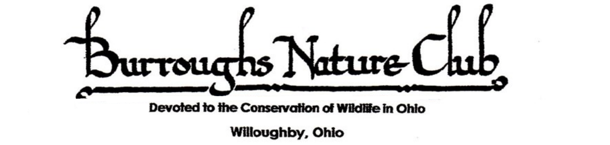 Virtual Event with Burroughs Nature Club