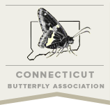 CT Butterfly Association Spring Virtual Event