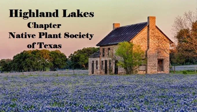 Highland Lakes Native Plant Society, Burnet, TX