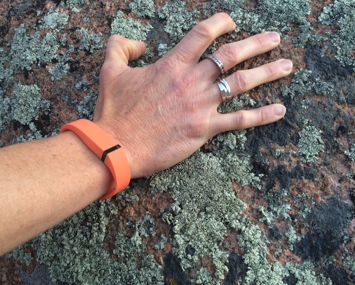 Pros and Cons of Fitbit, a Trainer's Perspective