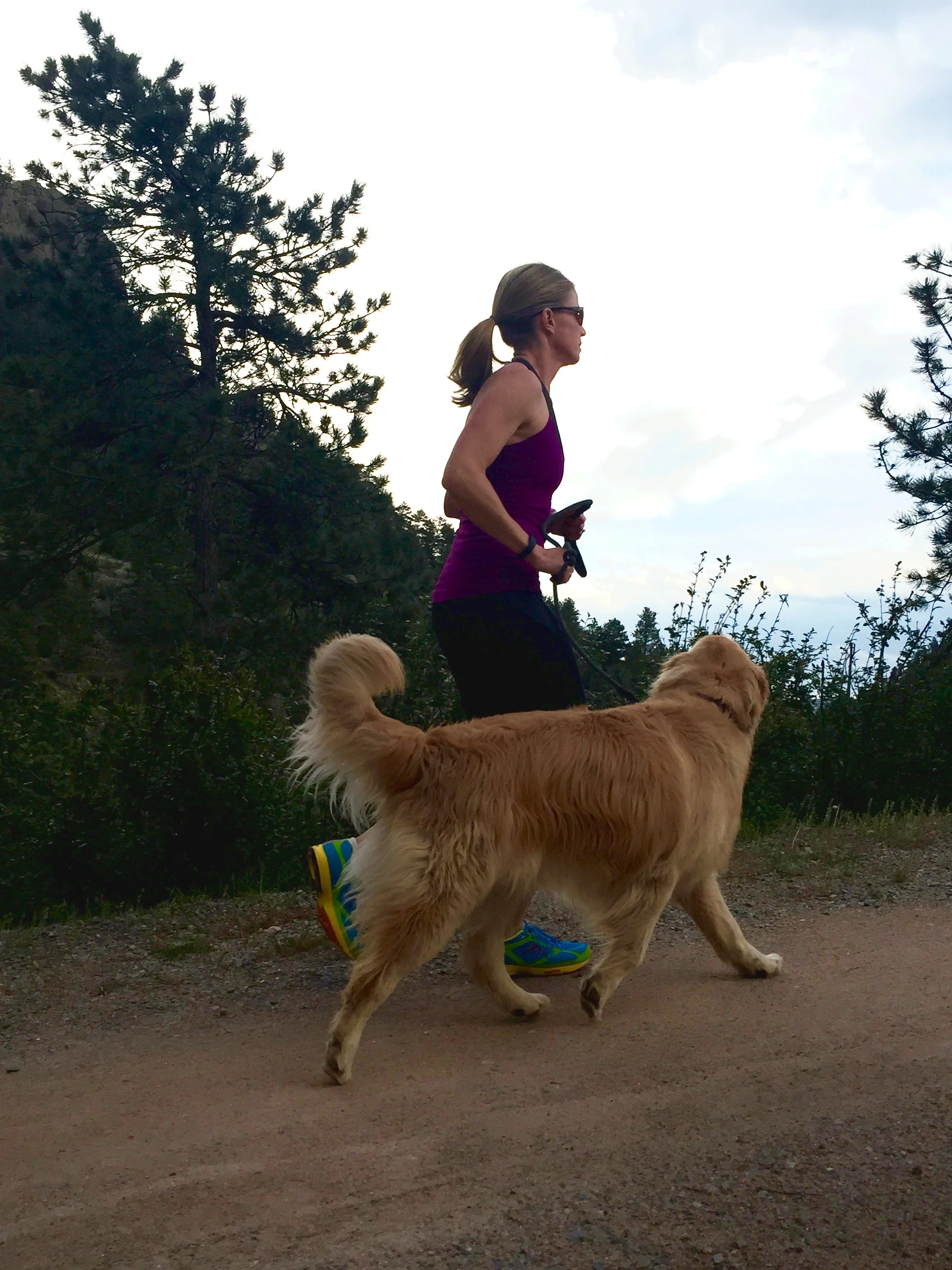 Is your Dog Fit? 5 Reasons You Need to Exercise Your Dog