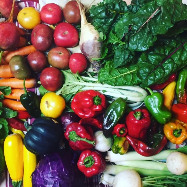 You Are What You Eat - Food Matters