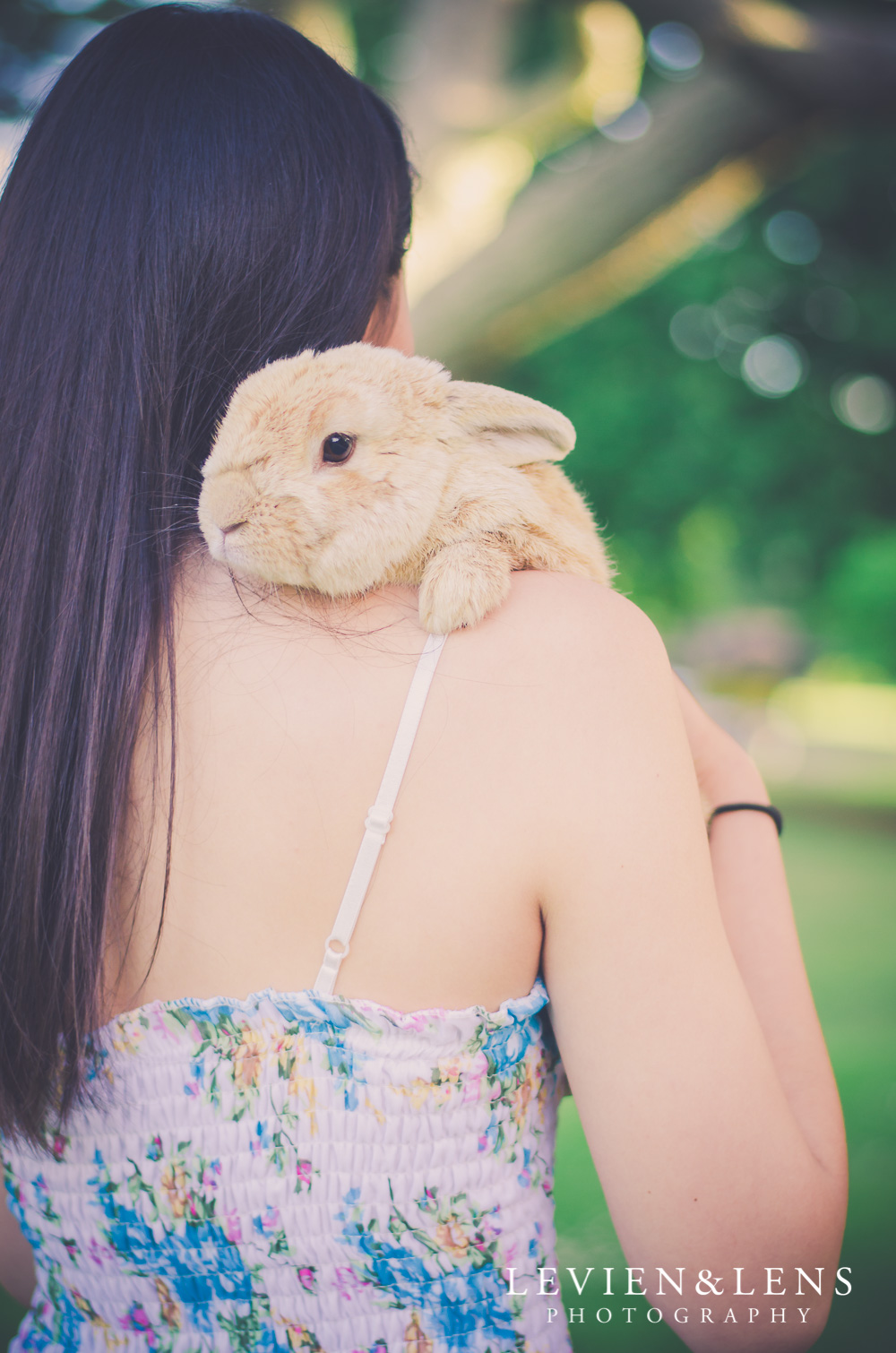 rabbit and girl