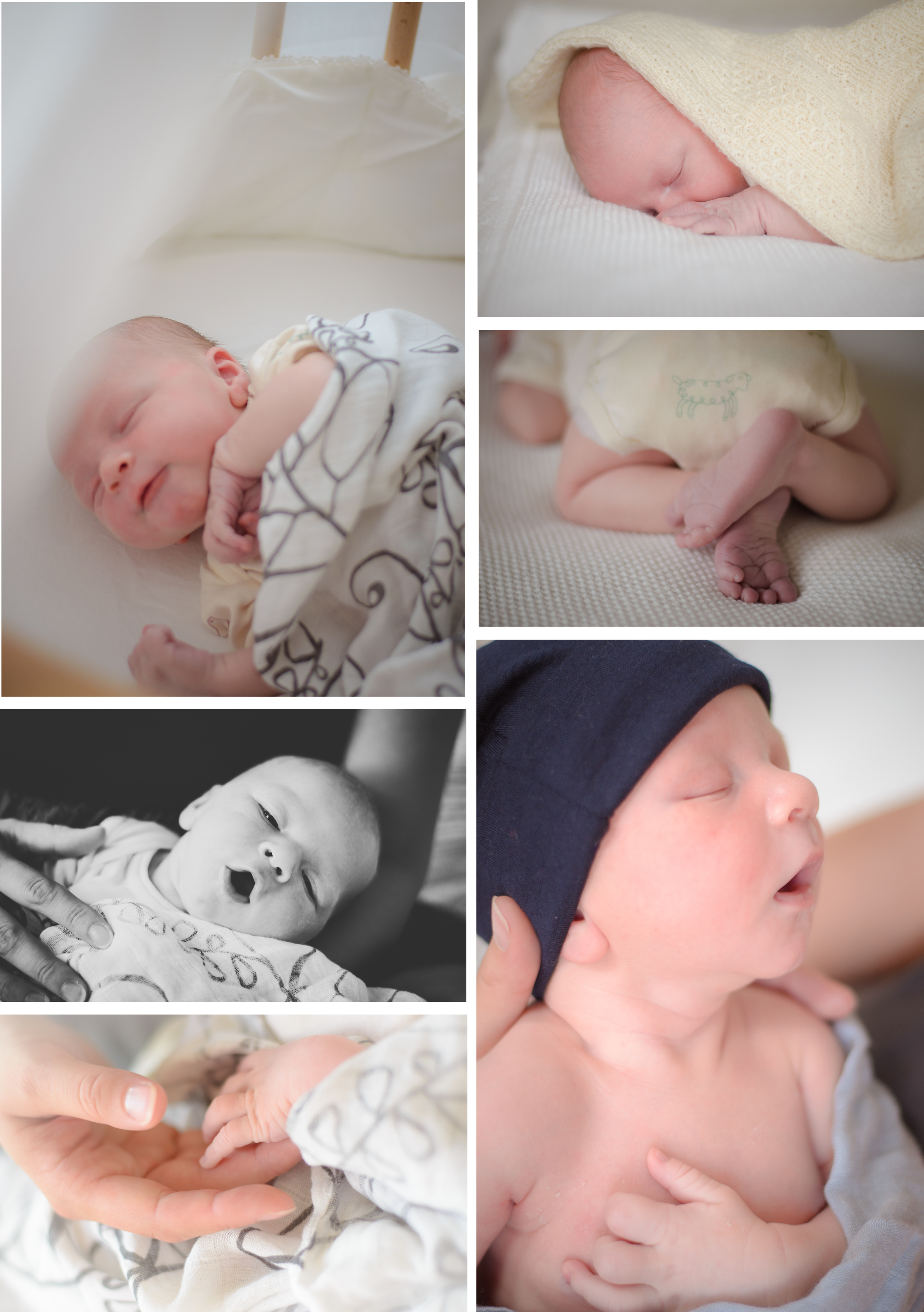 Sweet 10 days Baby Boy - Newborn Photo Shoot {Auckland lifestyle photographer}