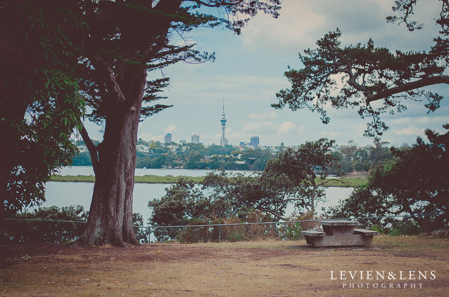 Auckland Skytower