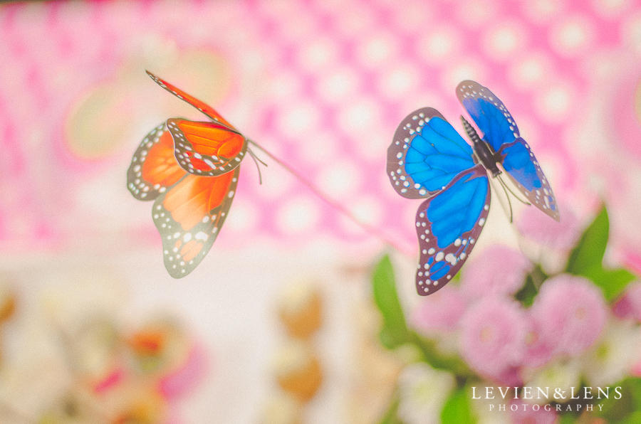 Two little princesses Birthday Party Pictures | Auckland event photographer