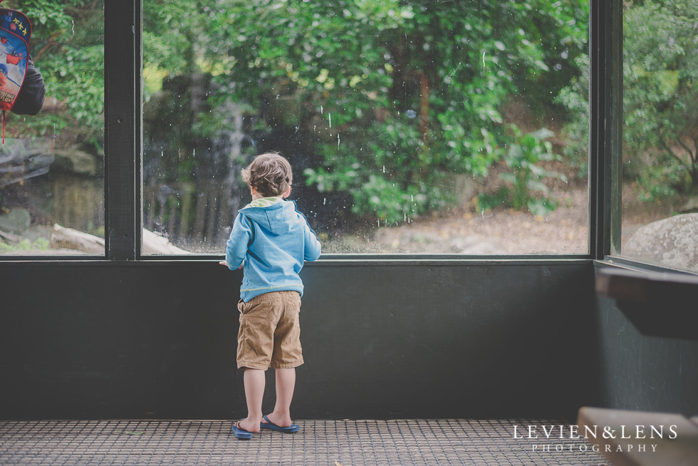 Hamilton Zoo family time {Waikato kids lifestyle photographer}