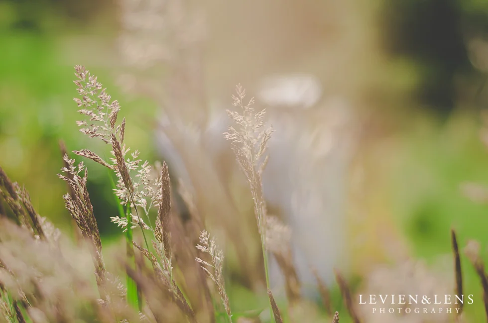 Bride and Groom location photo shoot {Auckland wedding-engagement-couples photographer}