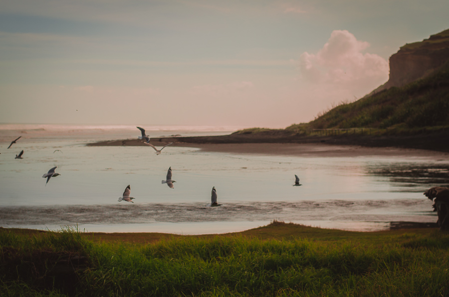 sunset beach 365 Project 2015 {Auckland-Hamilton lifestyle photographer}