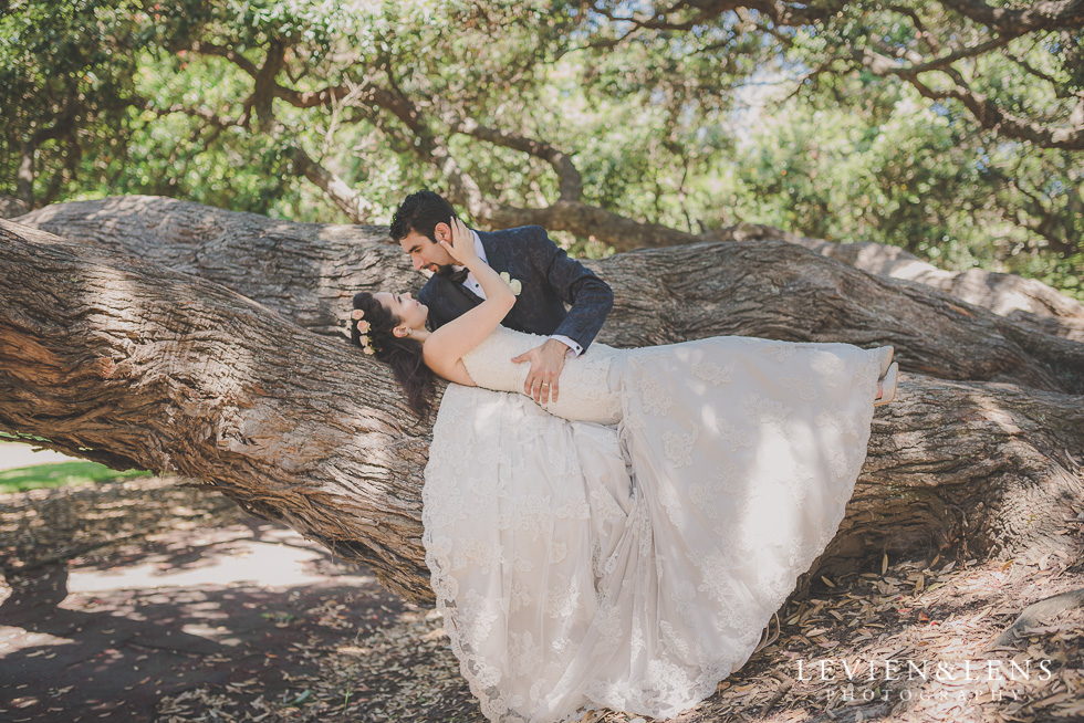 bride and groom on tree Parnell on the Rose Garden {Auckland lifestyle wedding photographer}