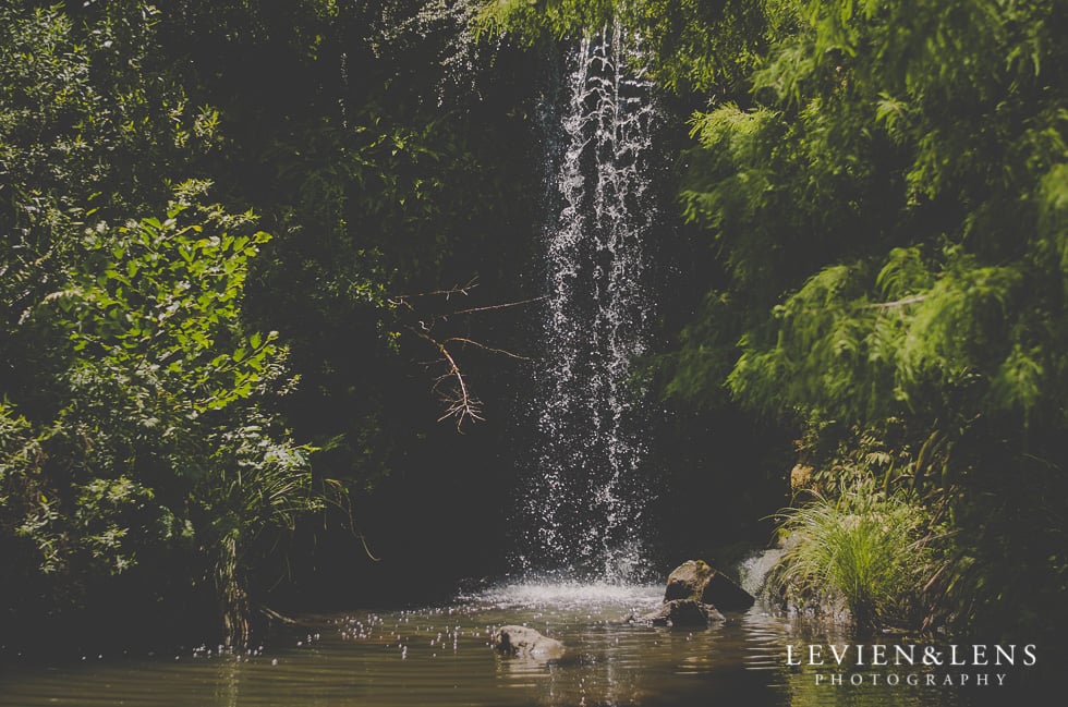 waterfall Hamilton Gardens {Personal family moments - Hamilton lifestyle photographer}