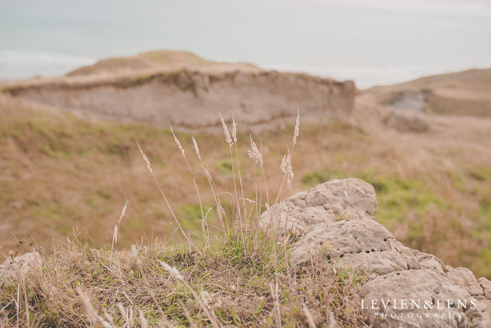 bride groom location shoot Kariotahi beach Castaways {Auckland wedding-engagement-couples photographer}