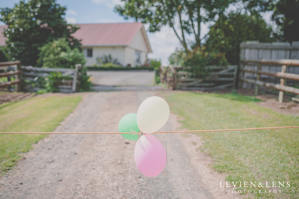 ballons Nana's 90 {Auckland-Hamilton-Morrinsville event photographer}