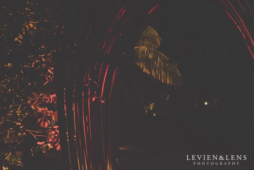 Landscendt Tropical Garden reception night {Auckland-Waikato-Bay of Plenty wedding photographer}