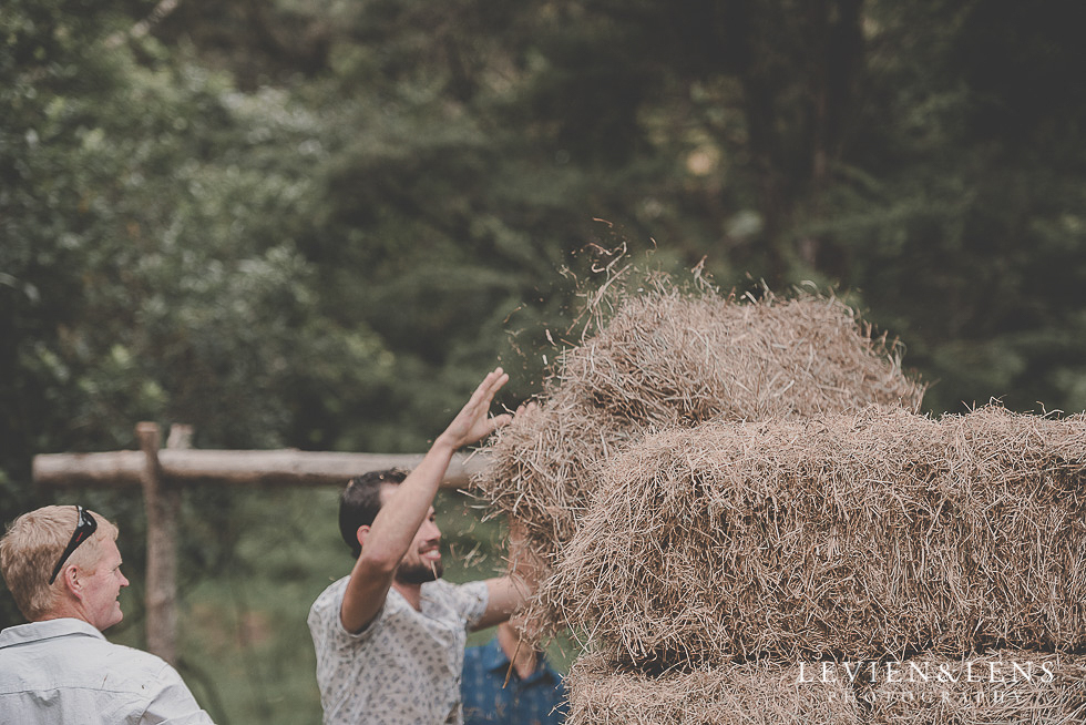 hay guests {Auckland-Hamilton-Tauranga wedding photographer}