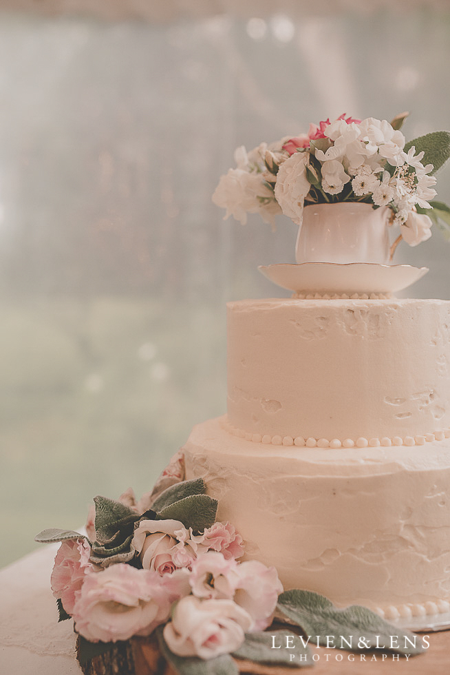 cake reception {Auckland-Hamilton-Tauranga wedding photographer}