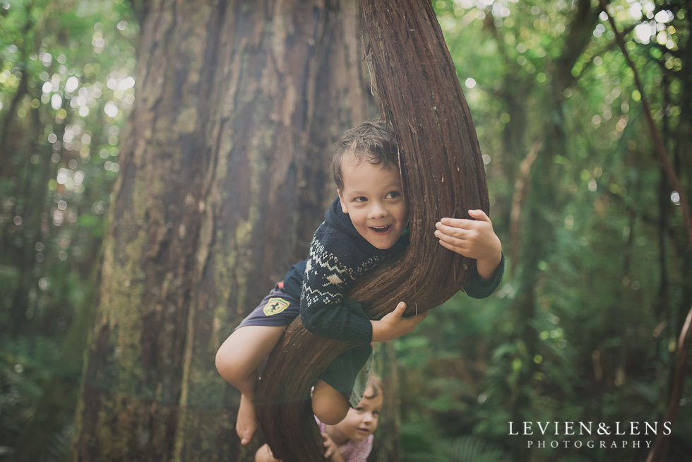 kids on tree Pirongia bush walk - personal moments {Waikato lifestyle wedding photographer}