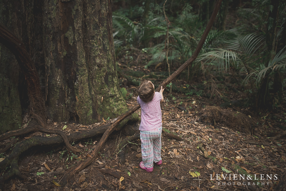 Pirongia bush walk - personal moments {Waikato lifestyle wedding photographer}