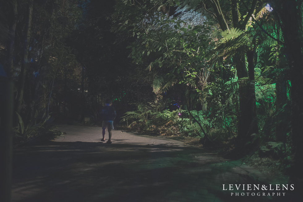 night time Rainbow Spring Family fun {Rotorua wedding-engagement photographer}