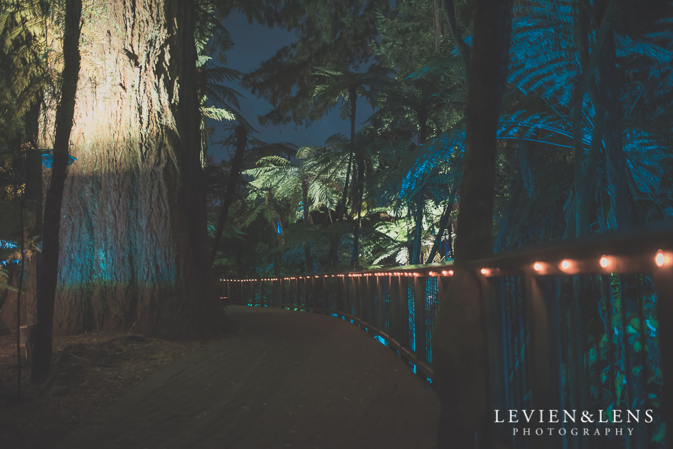 night Rainbow Spring Family fun {Rotorua wedding-engagement photographer}