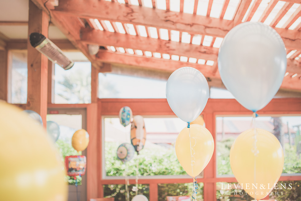 decorations Butterfly Creek Minions birthday party {Auckland NZ event photographer} Nazar 1 year old