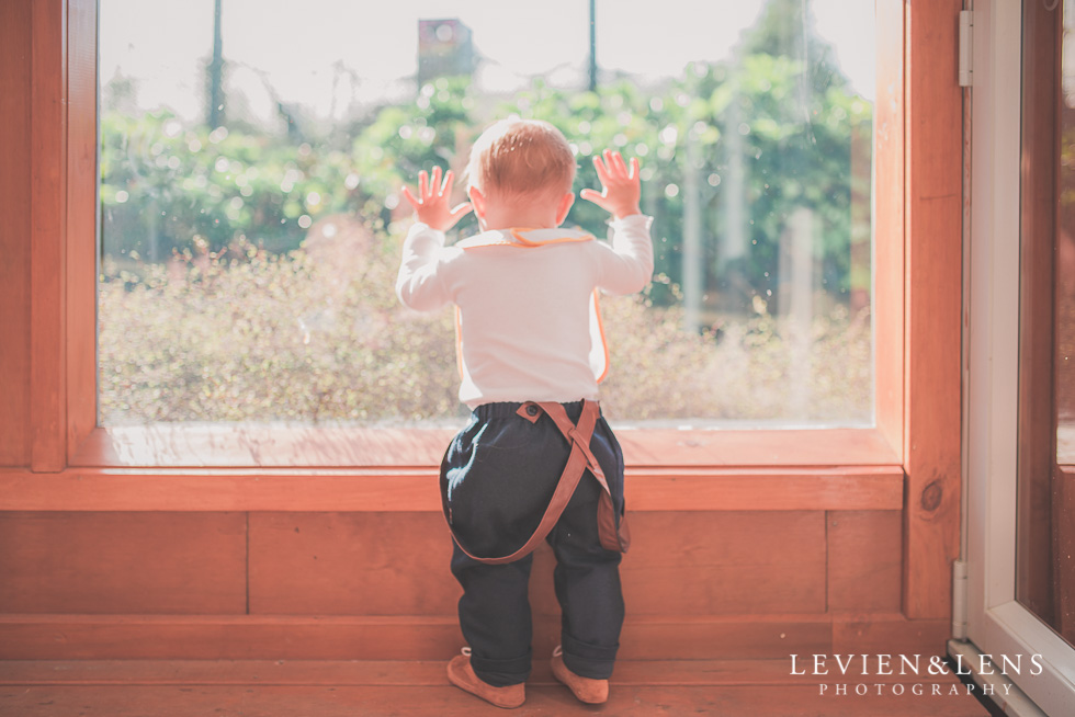 baby boy standing at window Butterfly Creek Minions birthday party {Auckland NZ event photographer} Nazar 1 year old