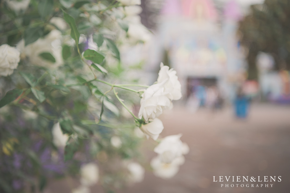 flowers - Rainbows End birthday party {Auckland lifestyle event-family-kids photographer}