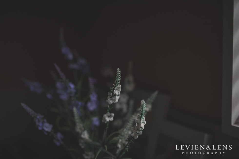 flowers - 365 project {New Zealand lifestyle photographer}