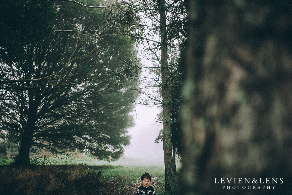 foggy forest and boy {Hamilton - Waikato lifestyle photographer}