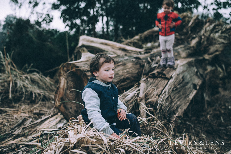 boy on tree {Hamilton - Waikato lifestyle photographer} Cambridge NZ