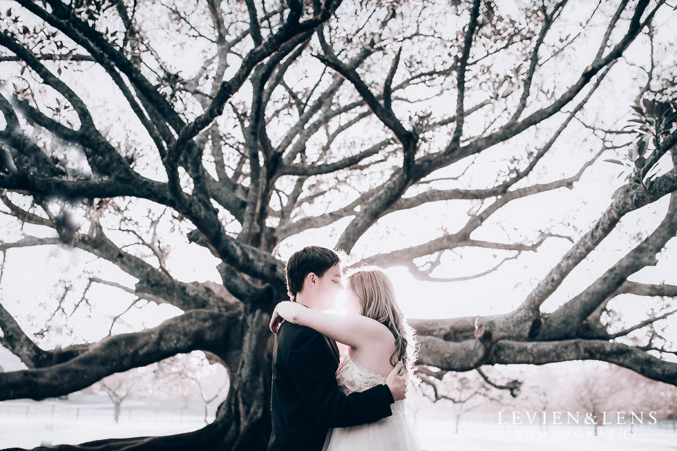 bride and groom near tree - Cornwall park photo session - winter wedding {Auckland NZ lifestyle weddings photographers}