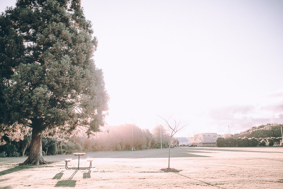 landscape - Personal everyday moments - October 2016 - 365 Project {New Zealand family-wedding photography}