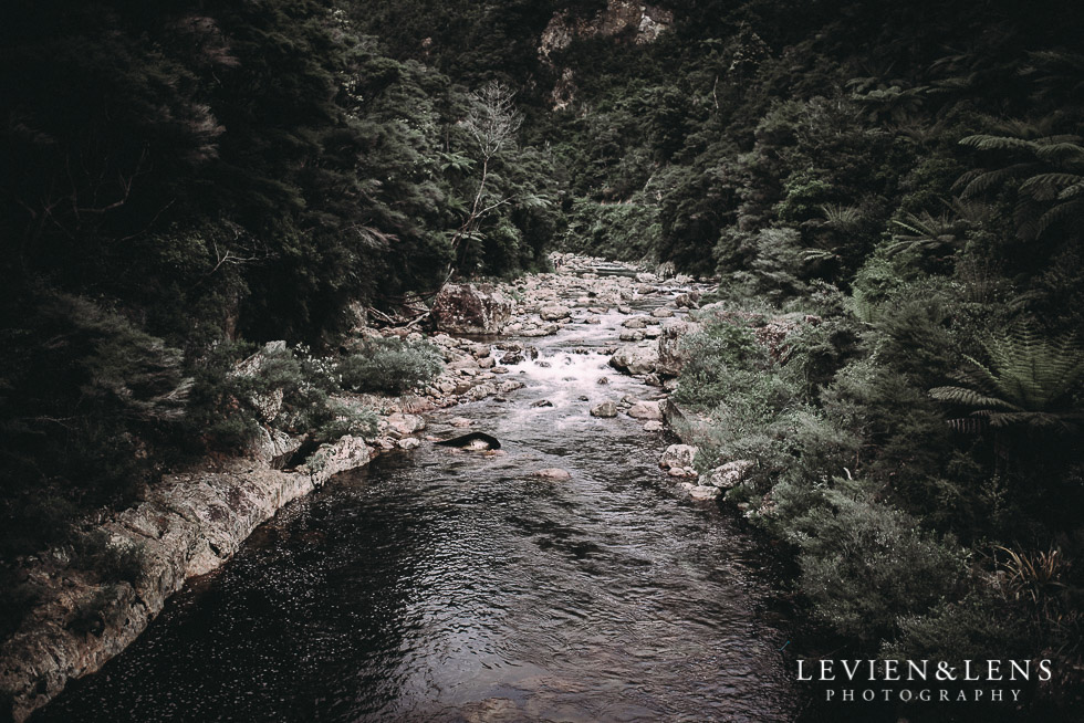 Karangahake George engagement | couples photo shoot {Auckland-Waikato wedding photographer}