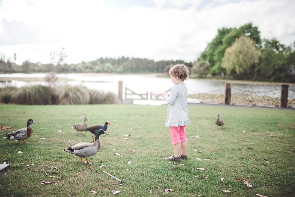 girl at lake - My personal moments in 365 Project - November 2016 {NZ wedding photographer}