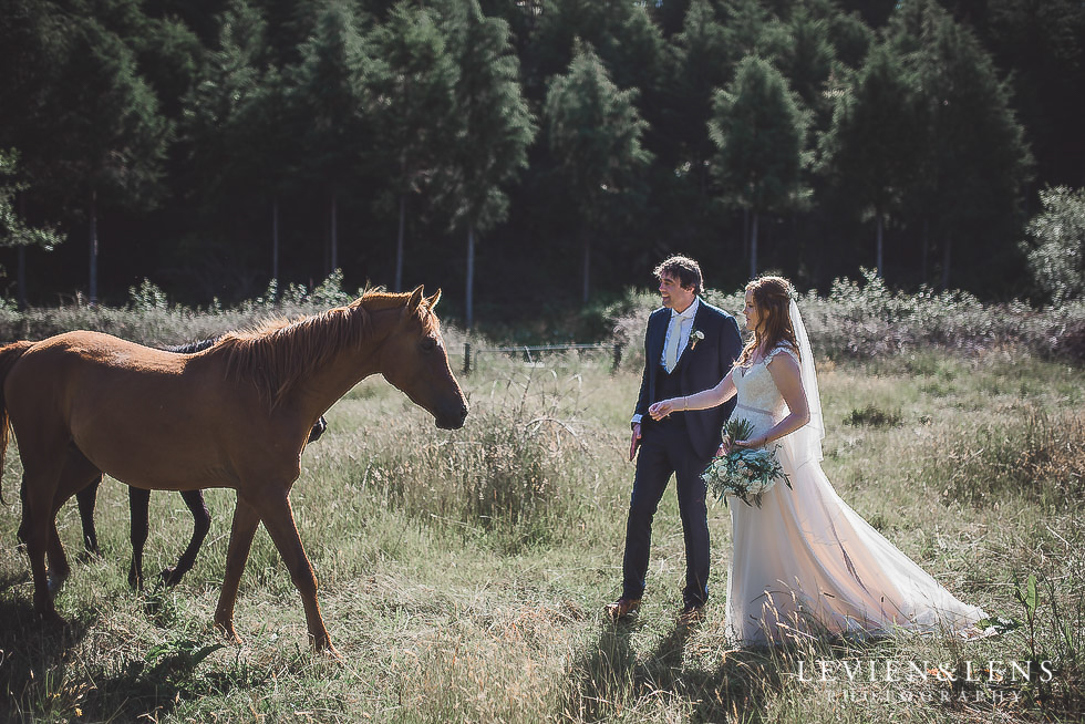 bride and groom with horses - Old Forest School Vintage Venue {Tauranga - Bay of Plenty wedding photographer}