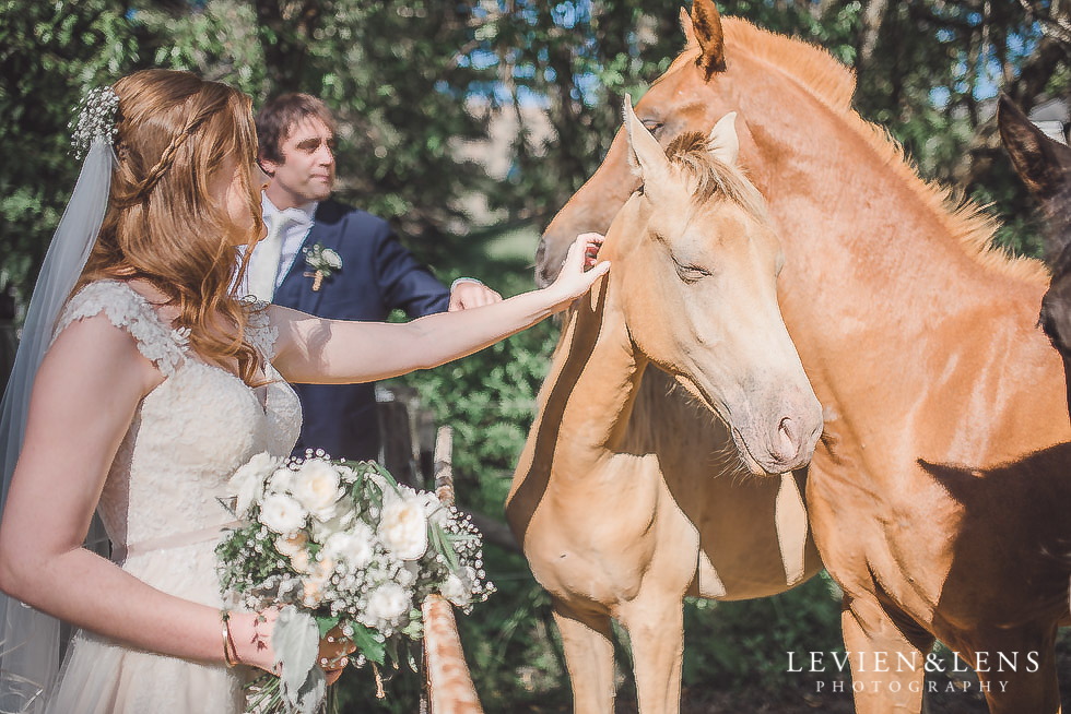 bride and groom with horses - Old Forest School Vintage Venue {Tauranga - Bay of Plenty wedding photographer}