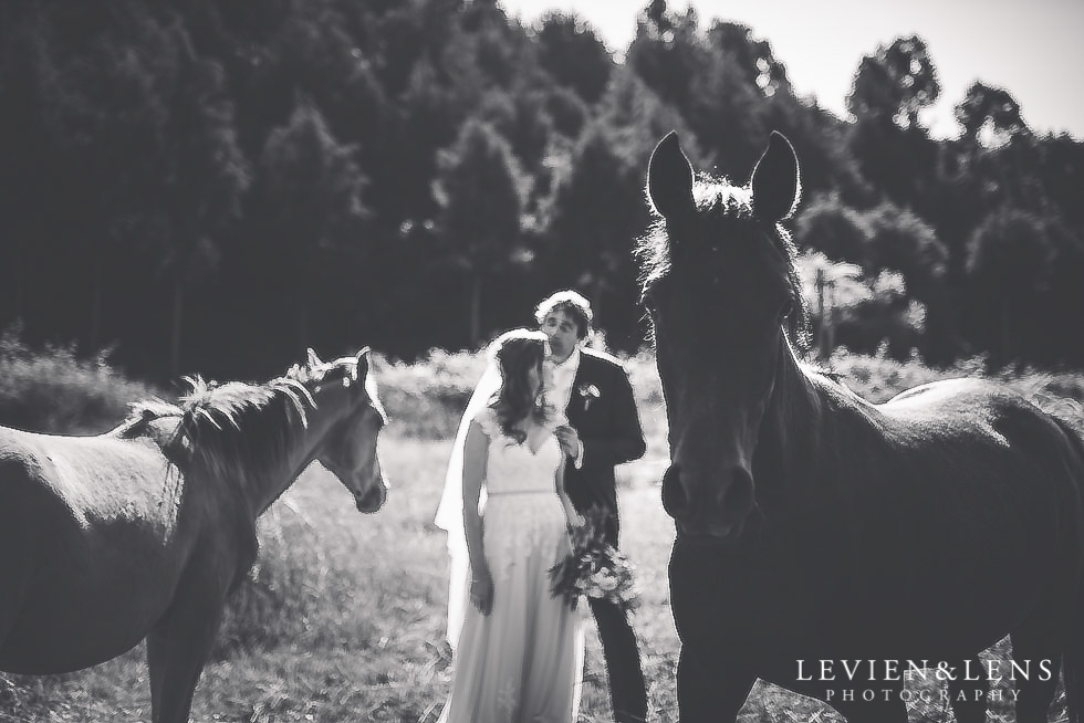 bride groom with horses {Auckland wedding photographer}