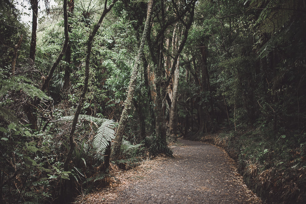 Best of 365 - January {lifestyle personal project} NZ wedding photographer